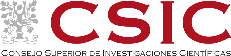 CSIC Logo